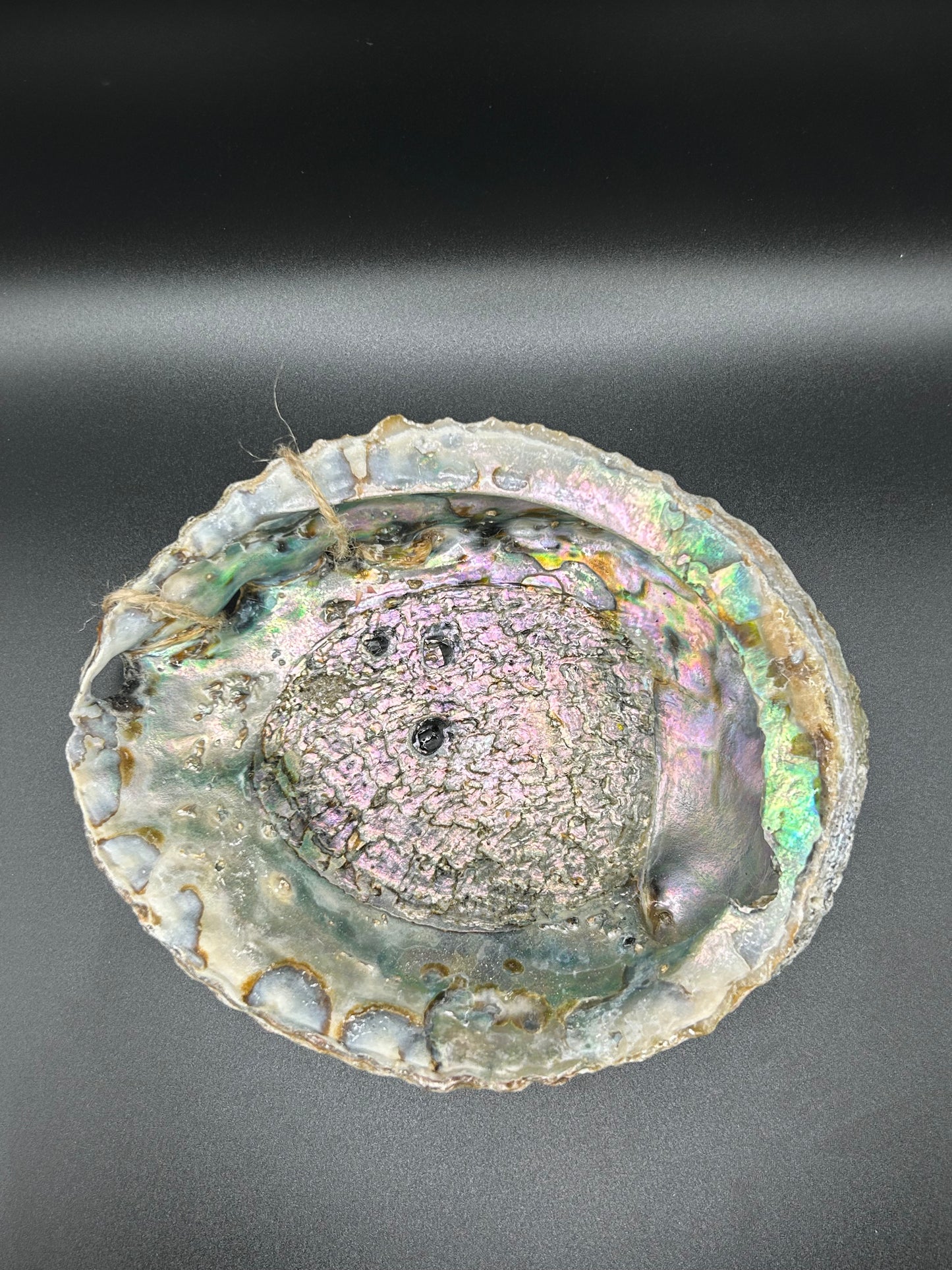 Abalone Shell Smudge Bowls (Large)
