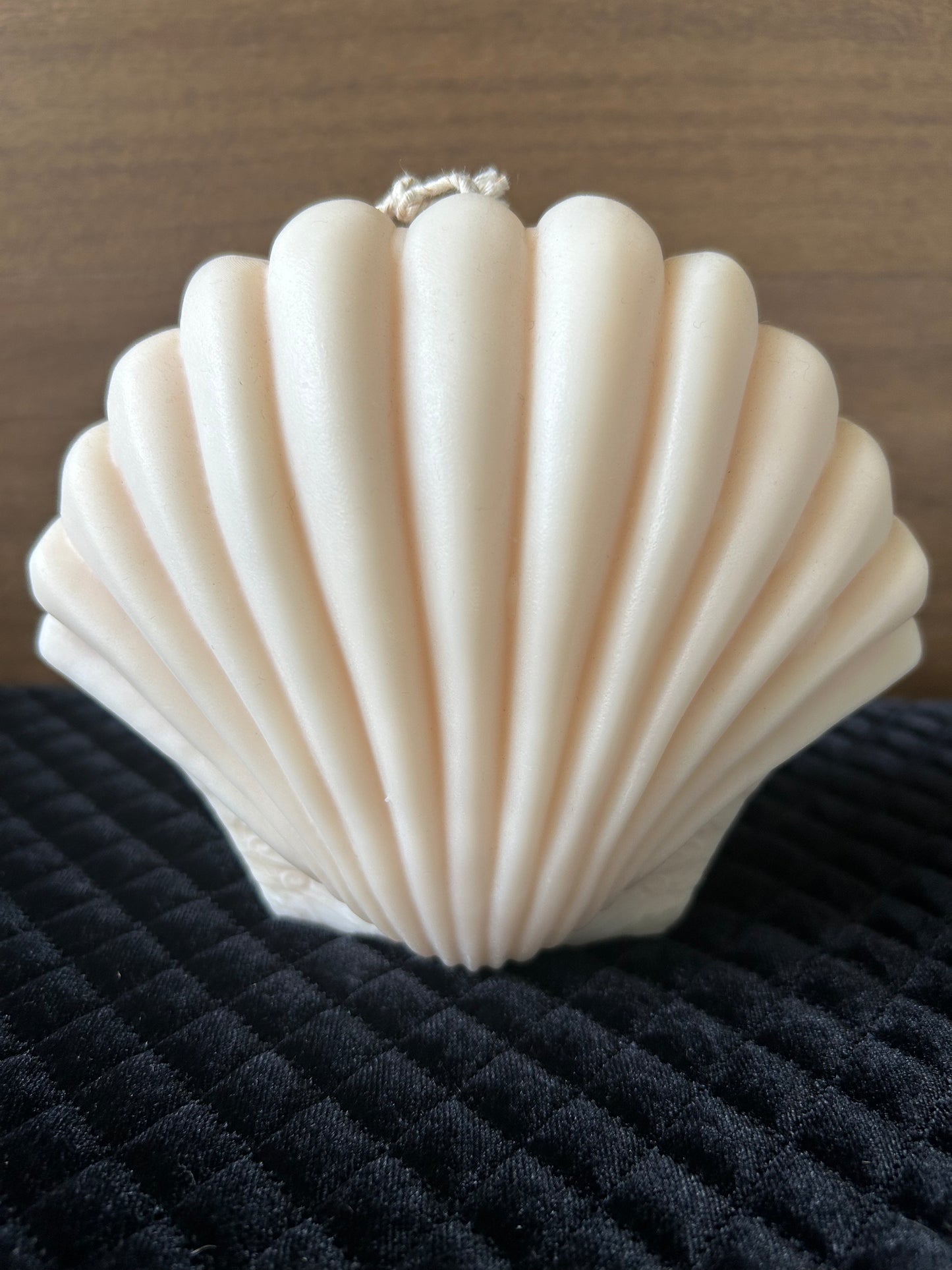 Huge Sea Shell Candle