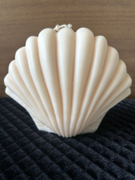 Huge Sea Shell Candle
